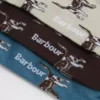 ポインター犬ソックス ギフトボックス