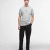ステラー Tシャツ