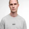 ステラー Tシャツ