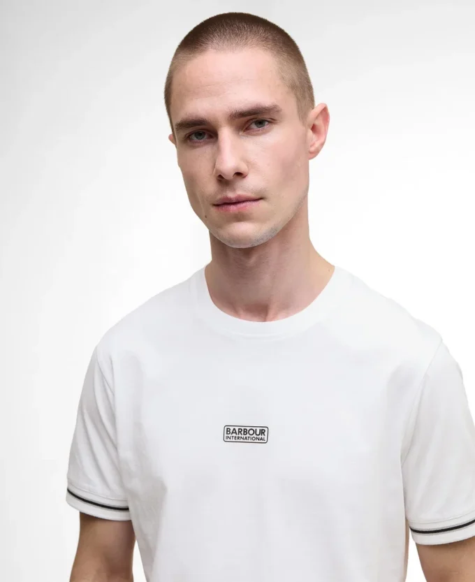 ステラー Tシャツ